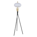 Floor Lamp - Black / Gold