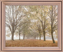 Golden Mist Avenue - 28" x 34" Framed Wall Art