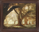 Sunlit Grove Serenity - 28" x 34" Framed Wall Art