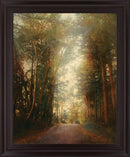 Sunbeam Woodland - 28" x 34" Framed Wall Art