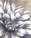 Framed - Charming Floral I By Dogwood Portfolio - Gray