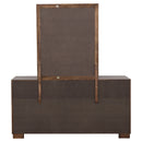 Jessica Dresser with Mirror