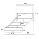 Marceline Panel Bed with LED Lighting