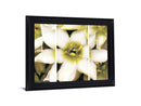 Ivory Petal Radiance - 28" x 34" Framed Wall Art