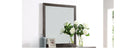 Steve Silver Broomfield Mirror in Walnut