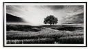 Deborland - Wall Art - Black / White