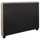 Chloe Queen Headboard - Austin's Furniture Depot (Austin,TX)