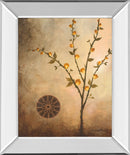 Fall Stem In The Light By Michael Marcon Mirror Framed Print Wall Art - Beige