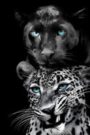 Azure Gaze Duo - 40" x 60" Framed Wall Art