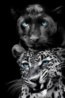 Azure Gaze Duo - 40" x 60" Framed Wall Art