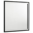 Lucia - Dresser Mirror