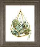 22x26 Wild Terrarium II By Grace Popp - Green
