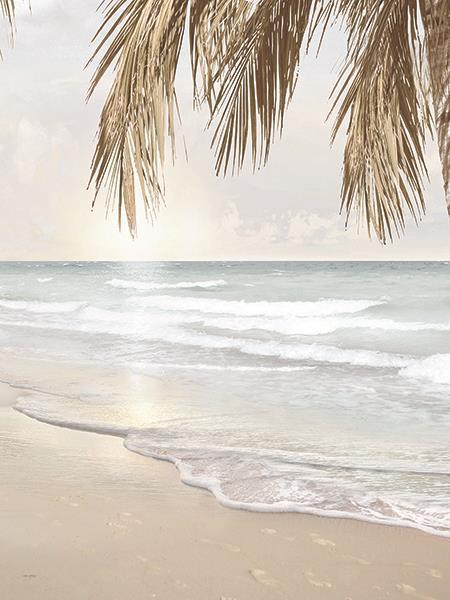 Coastal Dreams Iv By Amber Sterling (Small) - Light Blue