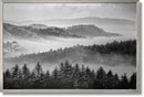 Misty Pine Veil - 32" x 47" Framed Wall Art - Gray