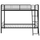 Carson Bunk Bed - Austin's Furniture Depot (Austin,TX)