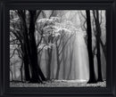 Silent Grove Shadows - 28" x 34" Framed Wall Art