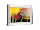 Sunshine Tulips By Frank, A. - Mirror Framed Print Wall Art - Yellow