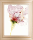 22x26 Flower Passion I By Jennifer Goldberger - Pink
