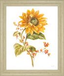 Golden Sunburst - 28" x 34" Framed Wall Art