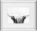 Longhorn By Danita Delimont - Dark Gray - Glass