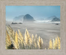 Golden Reeds Vista - 28" x 34" Framed Wall Art