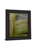 Butterfly Palm Il By Patricia Pinto - Framed Print Wall Art - Green