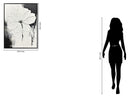 "Ethereal Blossom II" Hand-Painted Canvas In Frame - White / Black
