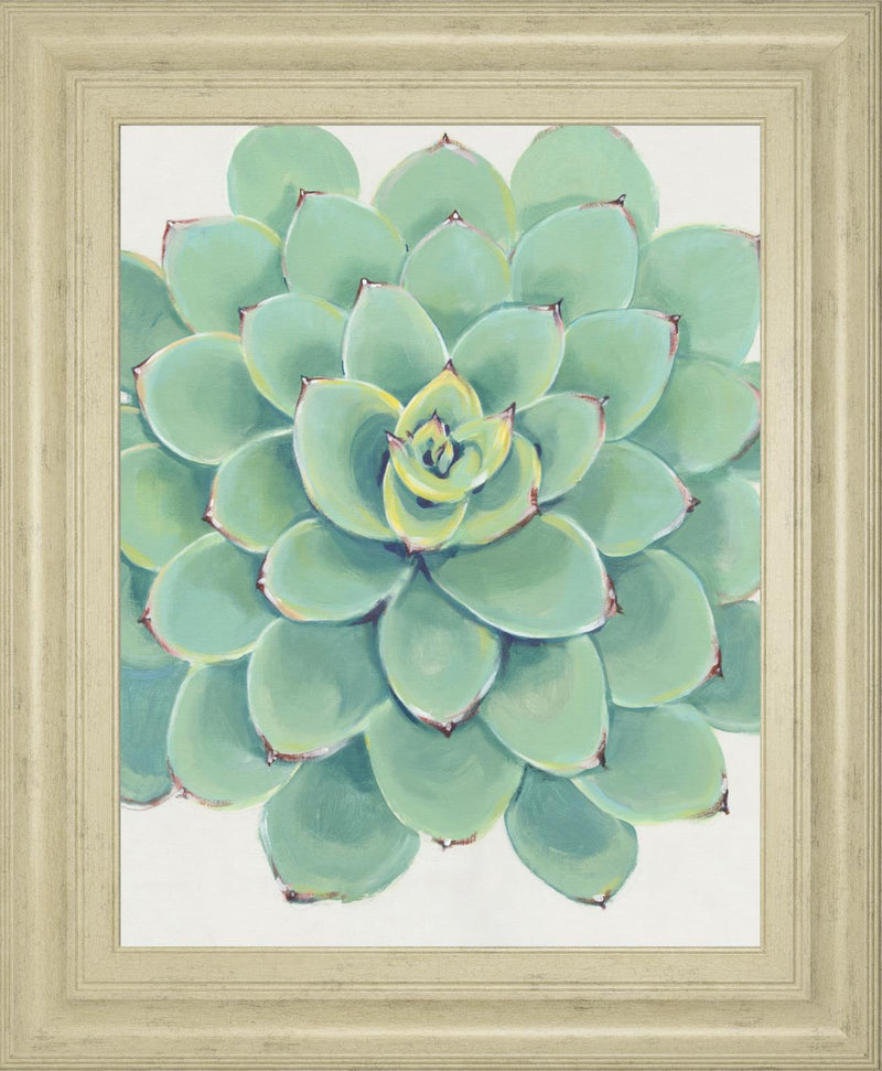 22x26 Pastel Succulent III By Tim OToole - Green
