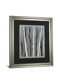 Birch Shadows By Eve - Dark Gray