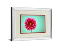 Zenia By Gail Peck - Mirror Framed Print Wall Art - Pink