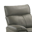 Wildcat - Motion Recliner - Gray