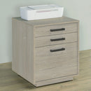 Loomis File Cabinet - Austin's Furniture Depot (Austin,TX)