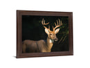 Forest Sentinel - 28" x 34" Framed Wall Art