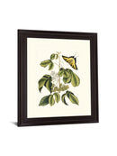 Butterfly Grove - 28" x 34" Framed Wall Art