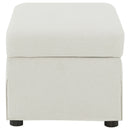 Winter Storage Ottoman