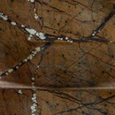 Emsleyfield Candle Holder Set (Set of 2) - Austin's Furniture Depot (Austin,TX)