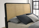 Arini Panel Bed - Austin's Furniture Depot (Austin,TX)