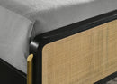 Arini Panel Bed - Austin's Furniture Depot (Austin,TX)