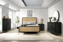 Arini Panel Bed - Austin's Furniture Depot (Austin,TX)