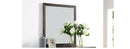 Steve Silver Broomfield Mirror in Walnut