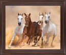 Desert Run - 28" x 34" Framed Wall Art