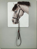 "Equine Elegance" Hand-Painted Canvas With Hair - White / Gray / Black