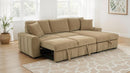 Pastrana - Upholstered Sleeper Sectional Sofa