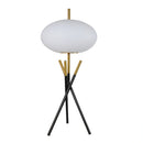 6293T Table Lamp