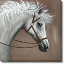 Silver Mane Gaze - 36" x 36" Framed Wall Art