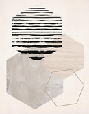 Hexagonal Display II By Daniela Santiago (Small) - Gray