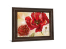 Passion For Poppies Il By Nan - Framed Print Wall Art - Red