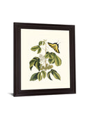Butterfly Grove - 28" x 34" Framed Wall Art