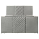 Tara Panel TV Bed
