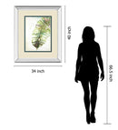 Watercolor Plantain Leaves Il By Patricia Pinto - Mirror Framed Print Wall Art - Green